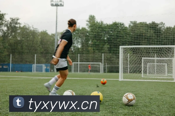 开云官网APP 封面图